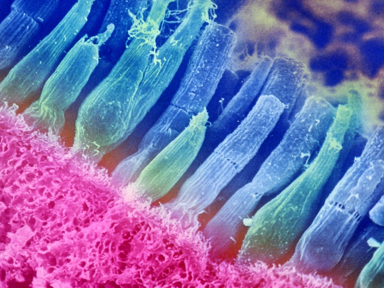 gettyimages 128601129 da84b5e0a45a8f2c04041c5a9999ec2bc1888bae s1600 c85