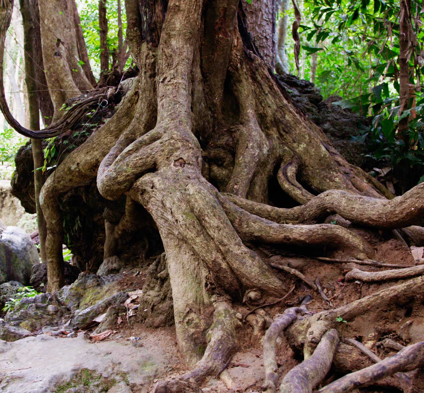 miami-acupuncture-and-functional-medicine